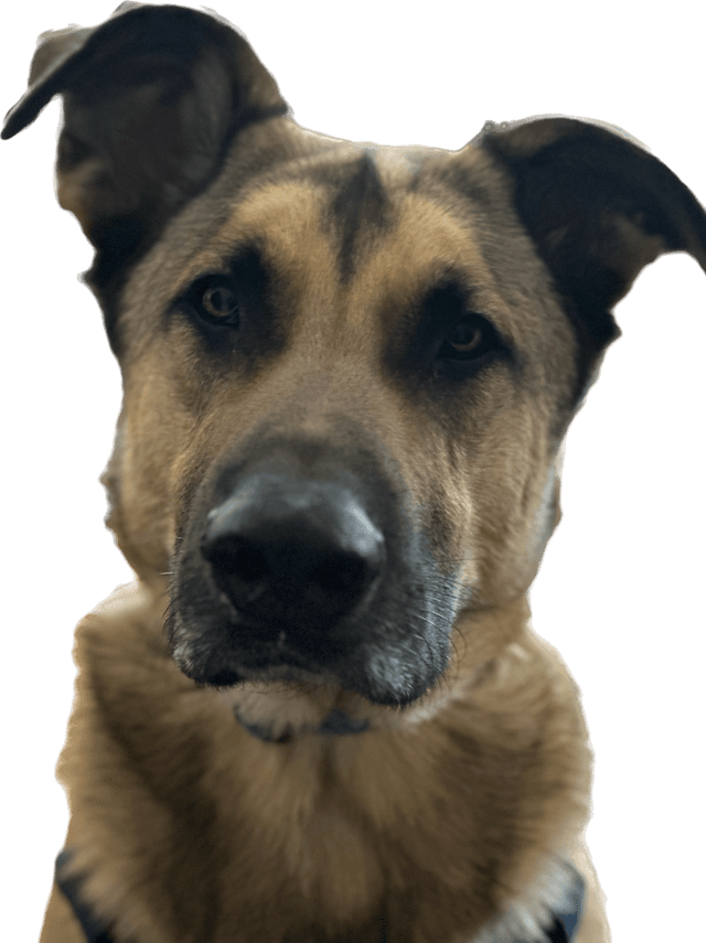 Shiloh